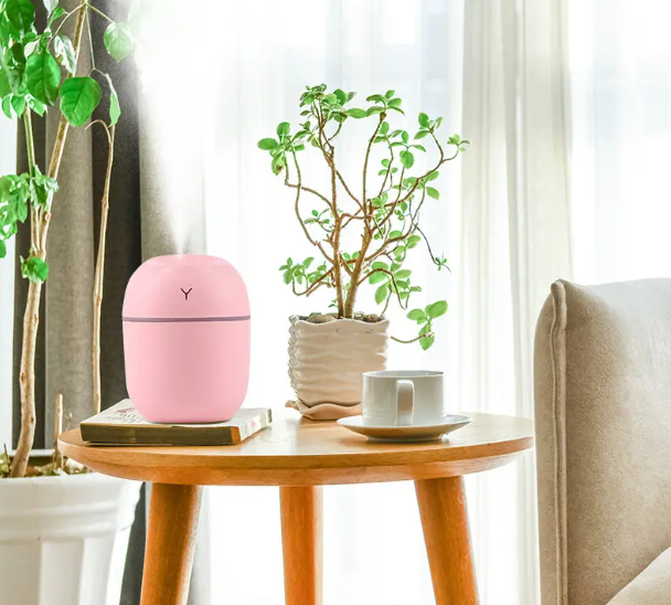 Portable mini humidifier