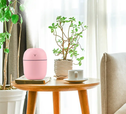 Portable mini humidifier