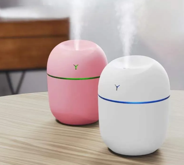 Portable mini humidifier