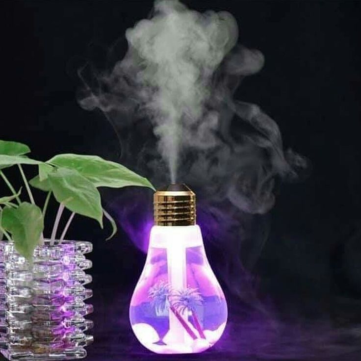 Bulb Humidifier