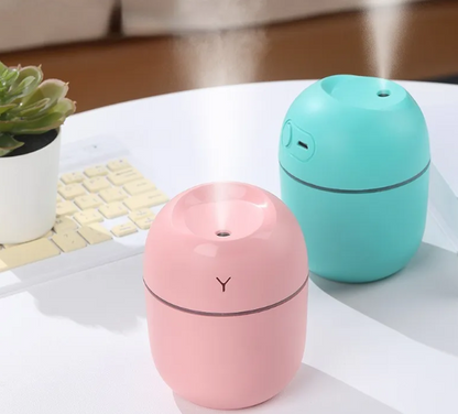 Portable mini humidifier